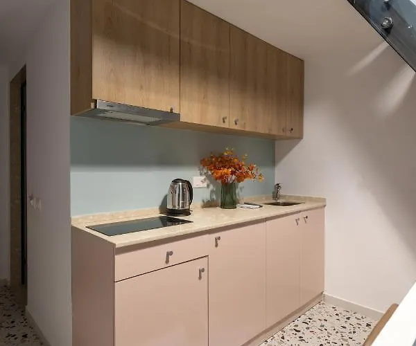 & Pool - 365 公寓 地拉那